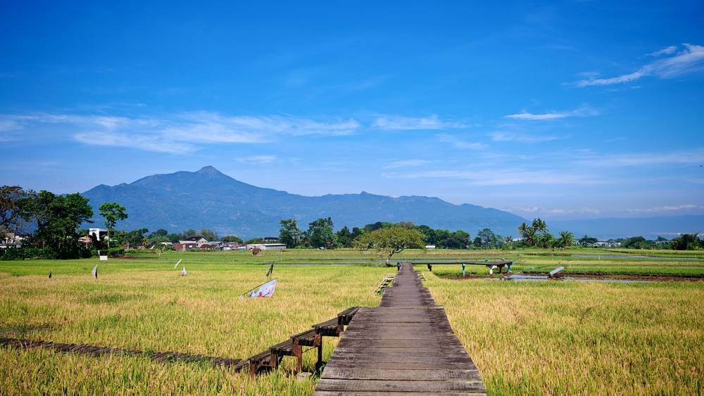 Centraal-Java