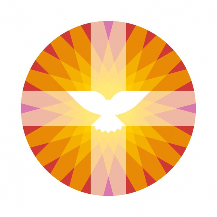 PKN logo