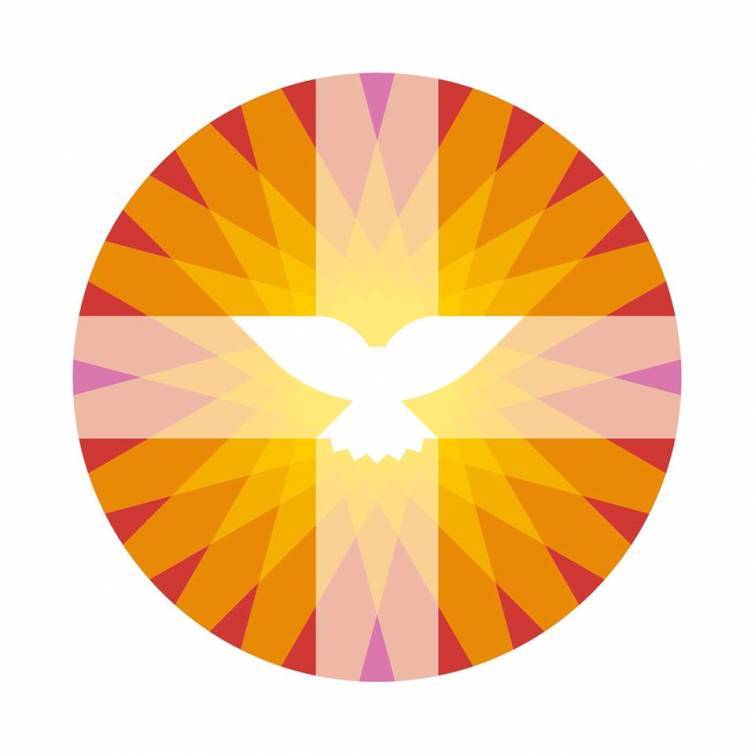 PKN logo