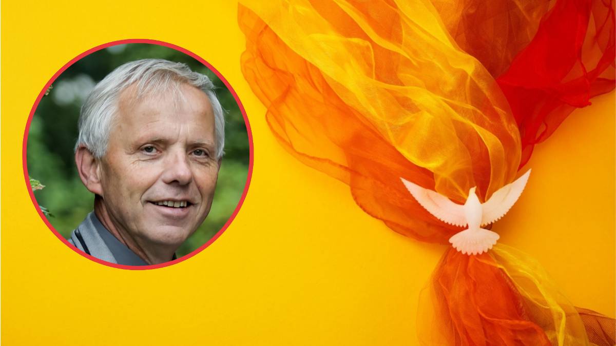 Kees van der Kooi Kees van der Kooi