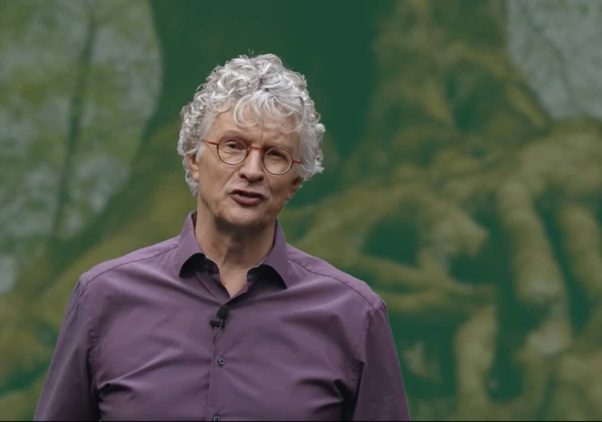 Wilkin van de Kamp Wilkin van de Kamp