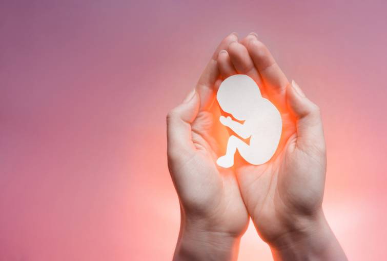 Abortus