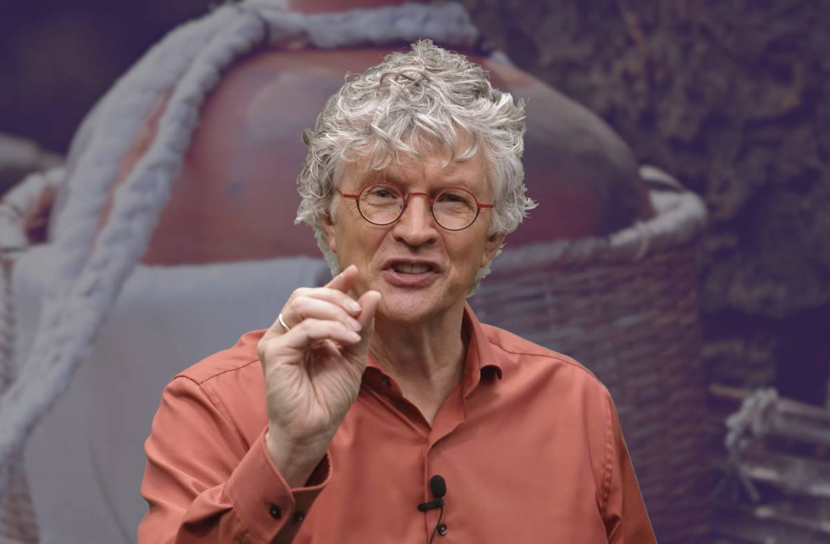 Wilkin van de Kamp