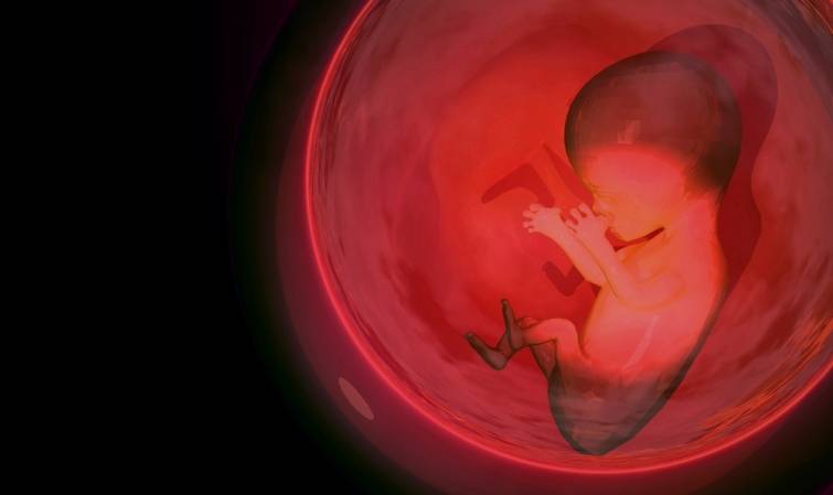 abortus