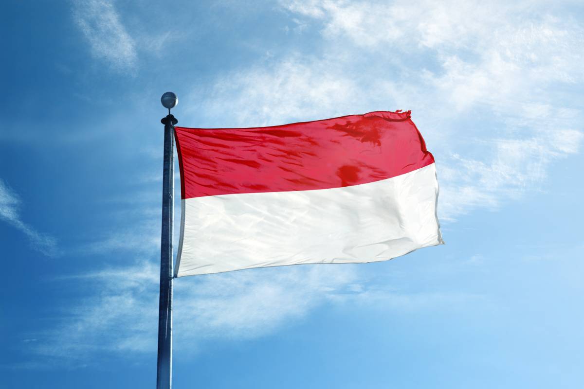 Indonesische vlag