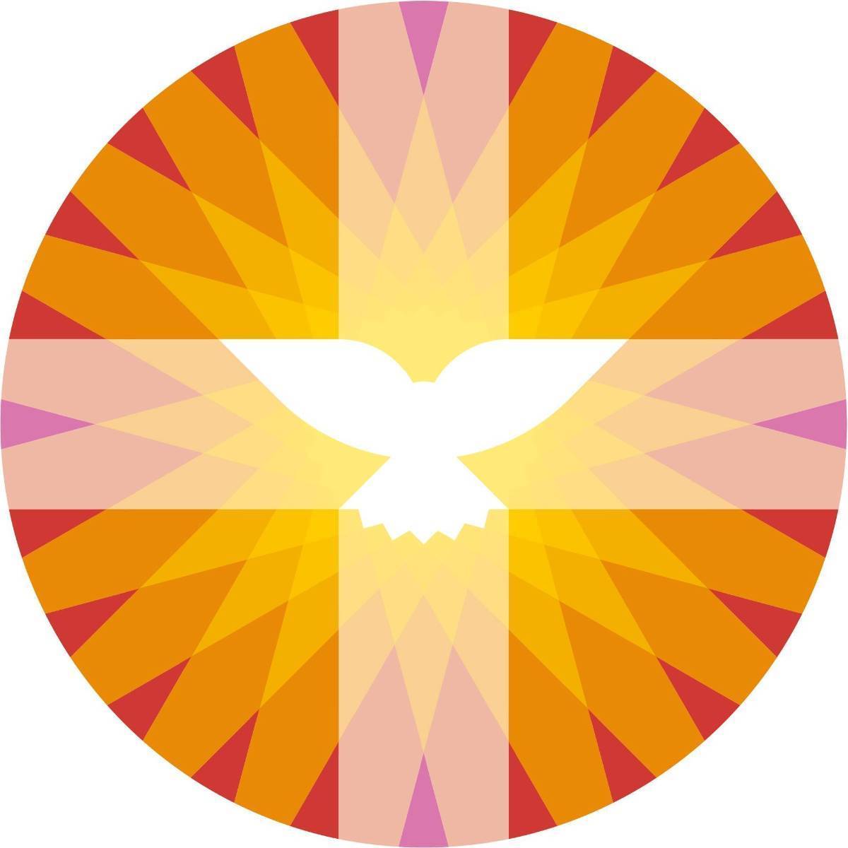 PKN logo