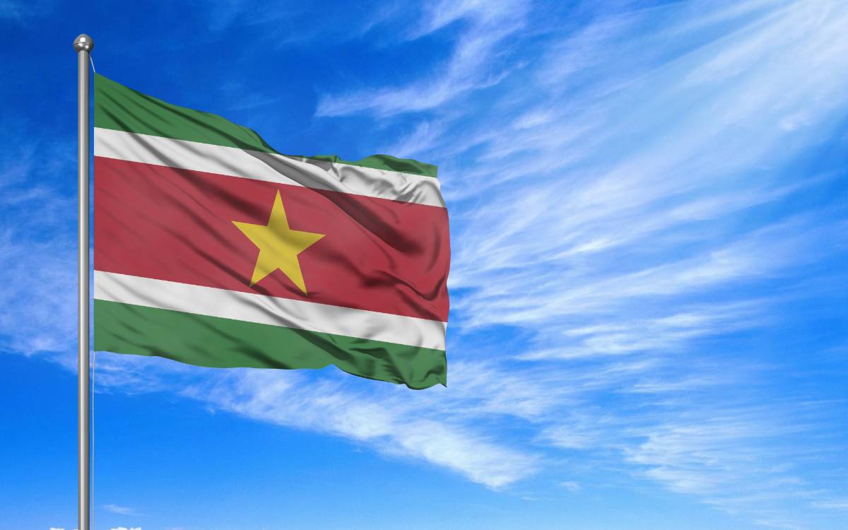 Vlag