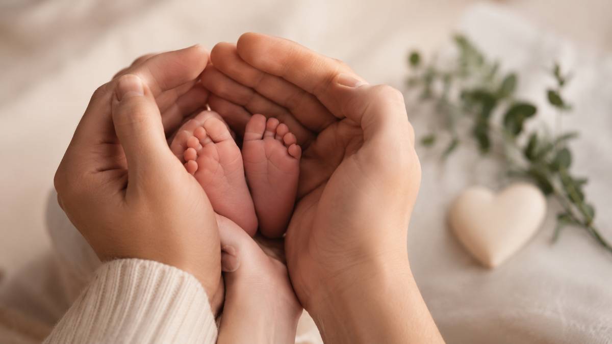 abortus