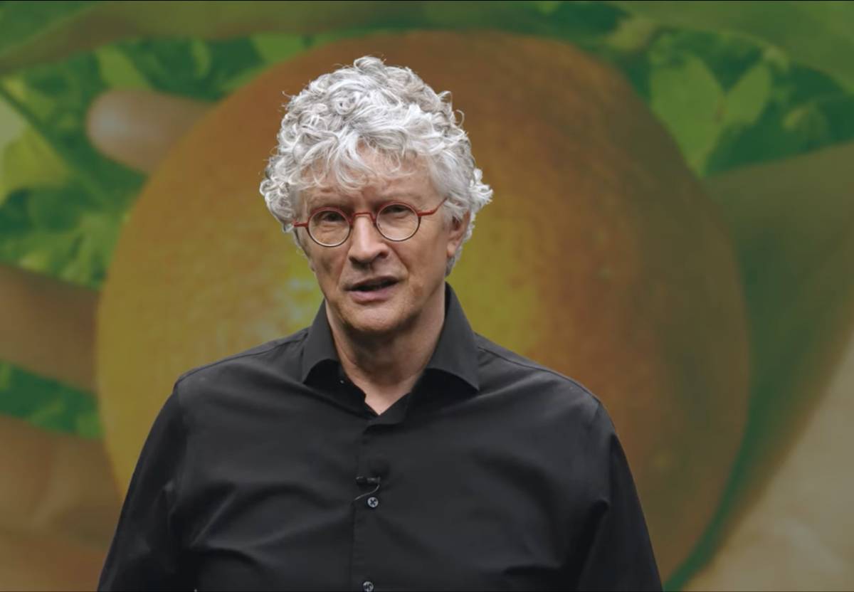 Wilkin van de Kamp Wilkin van de Kamp