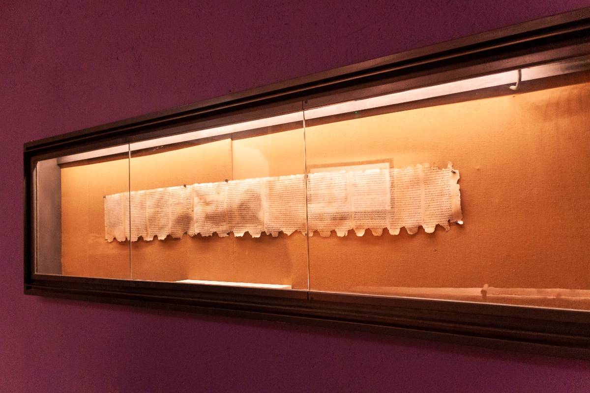 Dode Zeerollen Dode Zeerollen