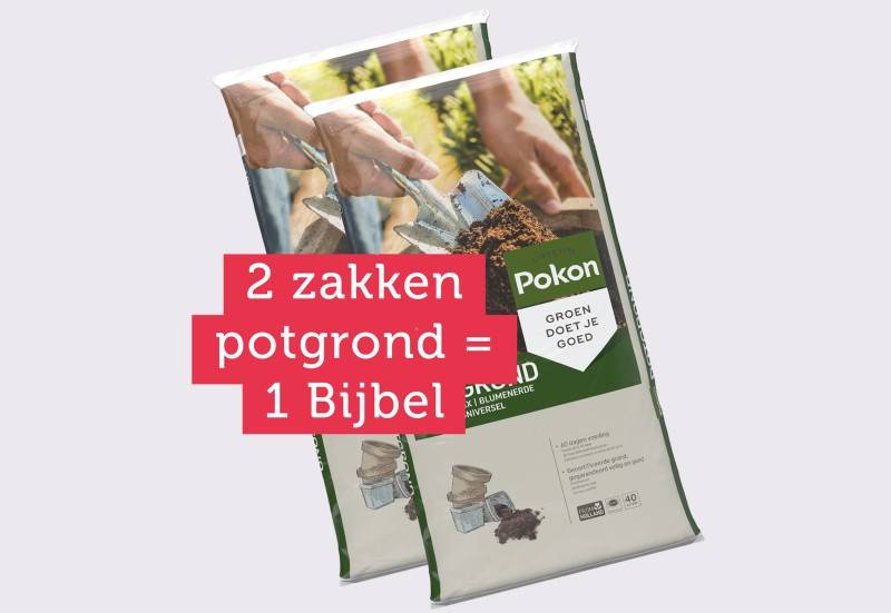 ‘Plant een Bijbel’